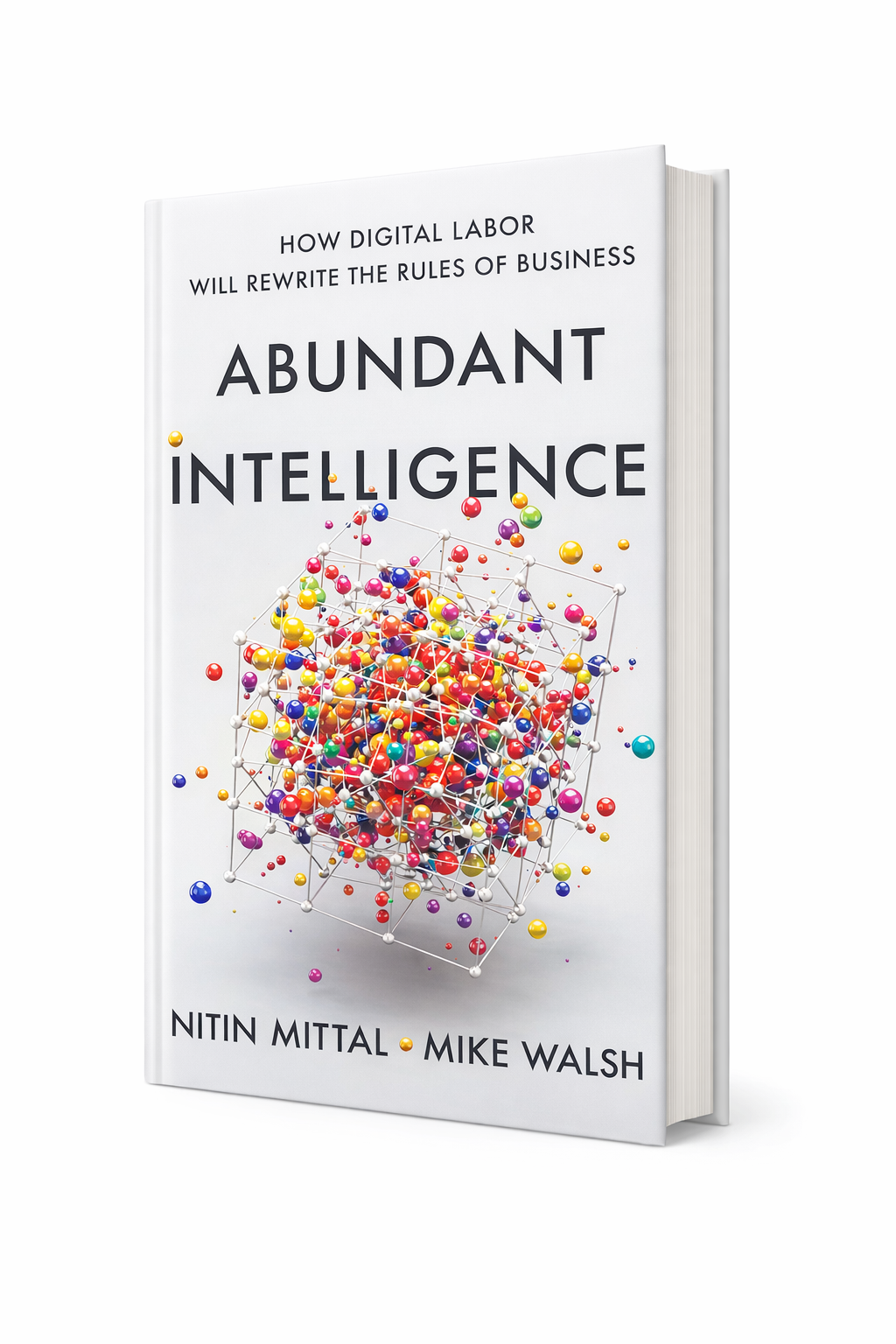 Abundant Intelligence-Book Cover Abundant Intelligence-Book Cover