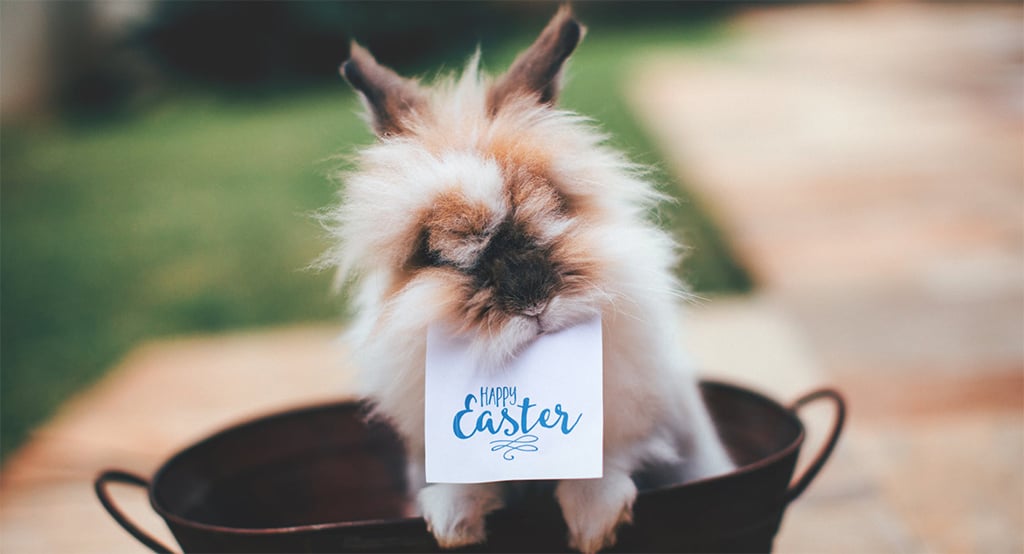 Hope for you this Easter